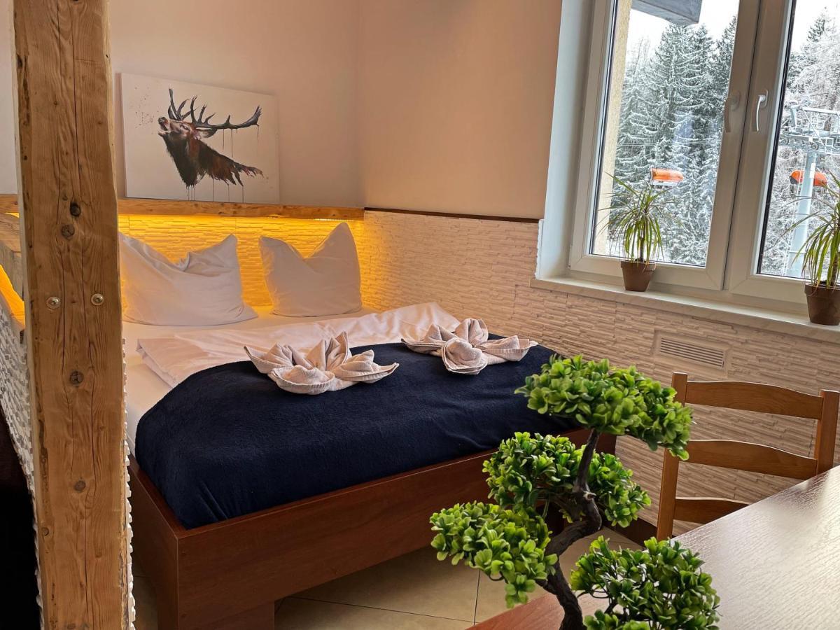 Safir Przy Samym Wyciagu Bed & Breakfast