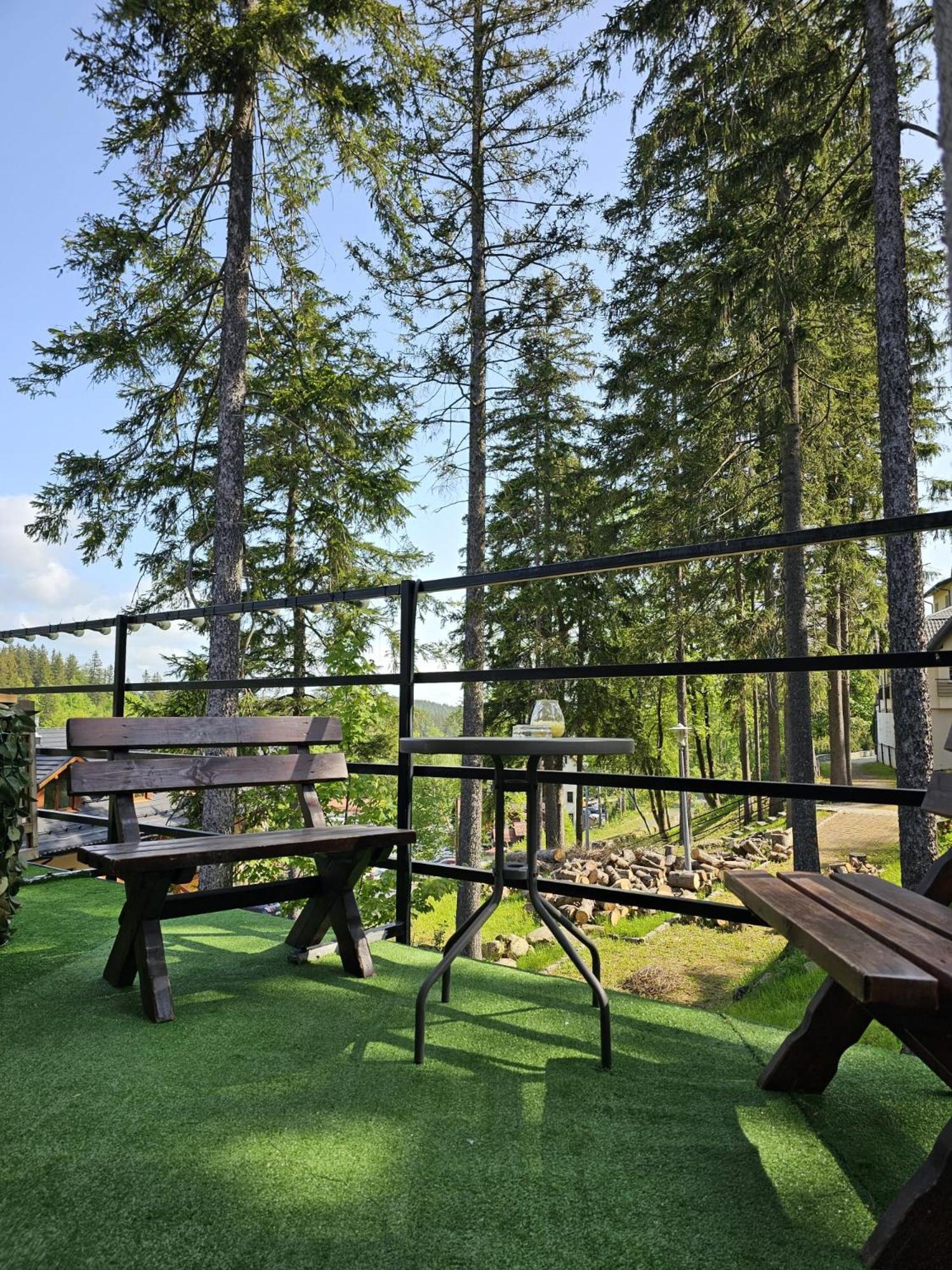 Bed & Breakfast Safir Przy Samym Wyciagu