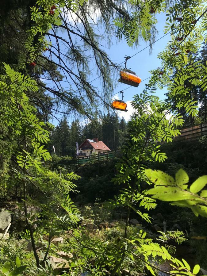 Bed & Breakfast Safir Przy Samym Wyciagu Karpacz
