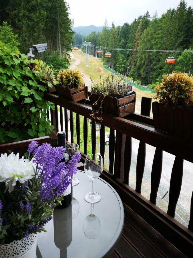 Bed & Breakfast Safir Przy Samym Wyciagu
